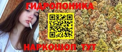 бошки Пушкино