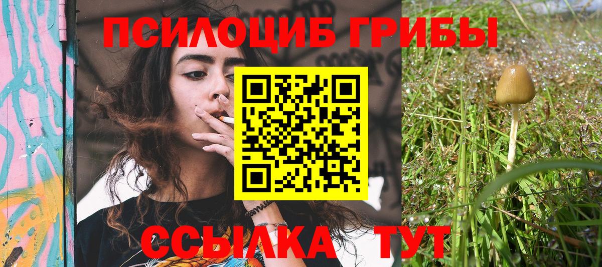 Галлюциногенные грибы Psilocybine cubensis Среднеуральск