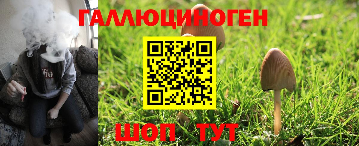 Среднеуральск  Псилоцибиновые грибы прущие грибы  Вход с VPN 
